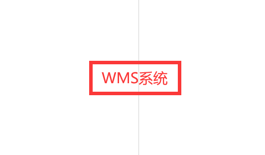 提升倉(cāng)儲(chǔ)效率，wms系統(tǒng)的價(jià)值所在